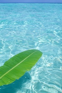 日本球队在比赛中挣扎，无法阻止对手的进攻