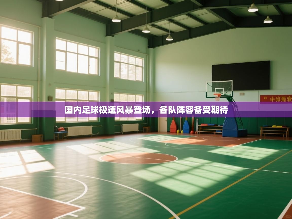 国内足球极速风暴登场,各队阵容备受期待 第1张