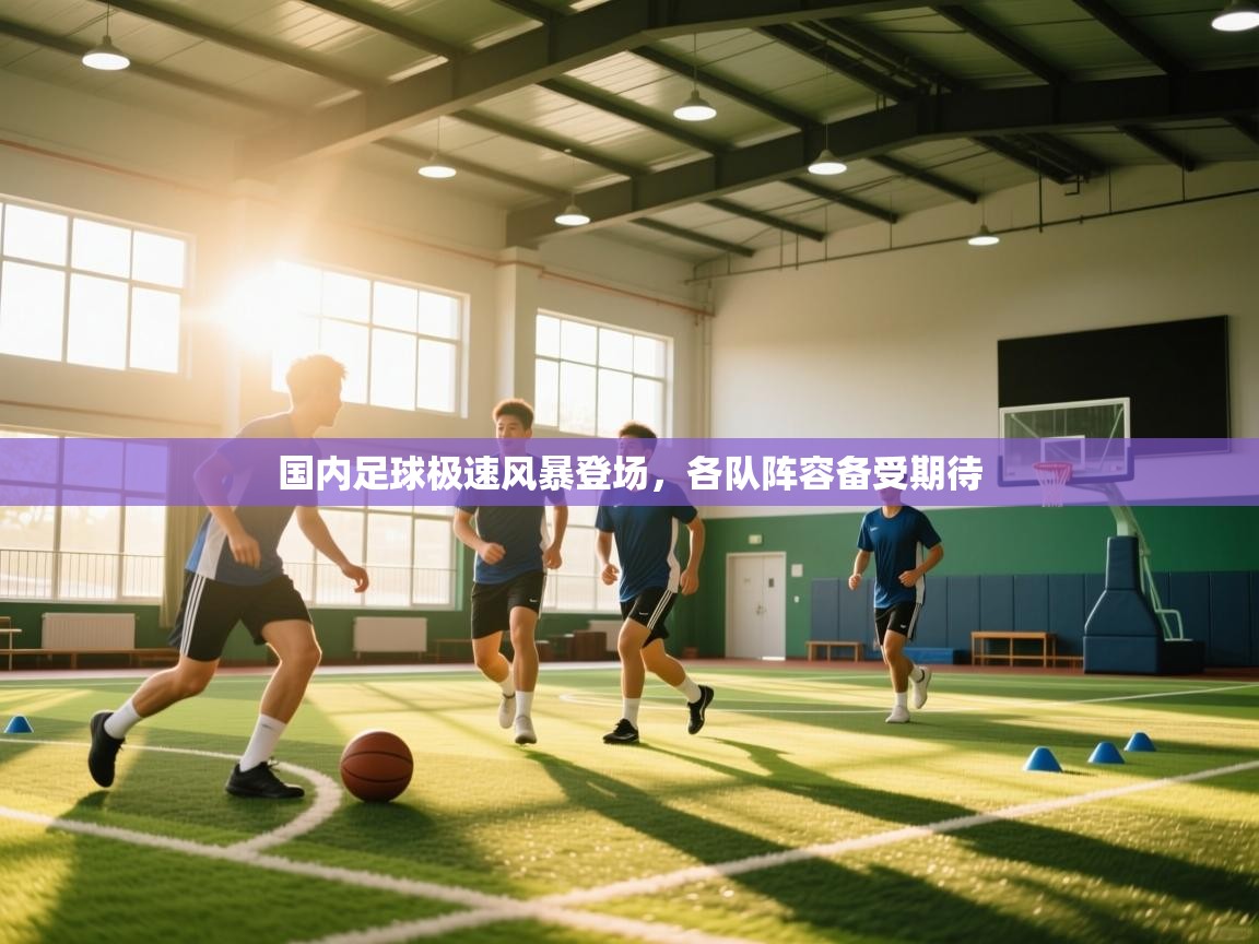 国内足球极速风暴登场,各队阵容备受期待 第2张