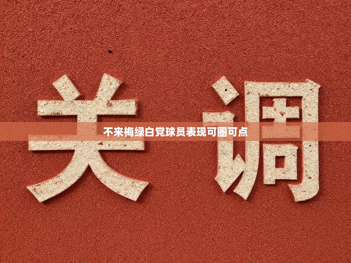 不来梅绿白党球员表现可圈可点 第2张